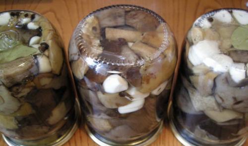 Заготовка подосиновиков на зиму рецепты. Рецепт заготовки подосиновиков на зиму способом горячей засолки