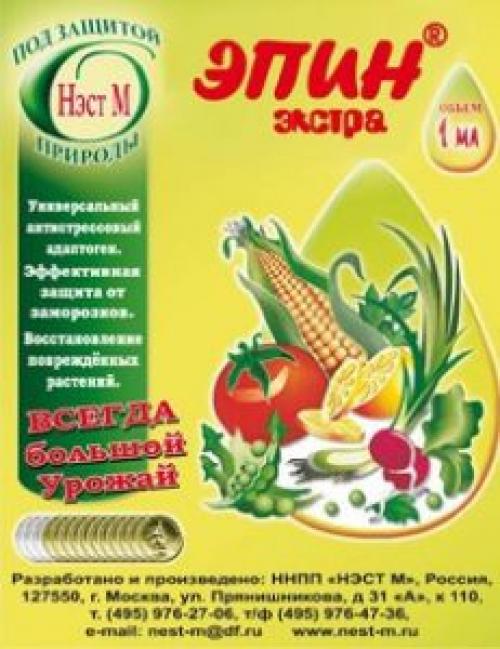 Ожог листьев медным купоросом. Частая проблема земледельцев — ожоги листьев на томатах: как избежать поражения и реанимировать растение?
