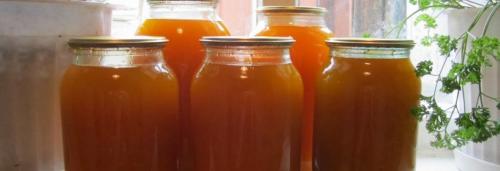 Тыквенный сок с яблоками. Как приготовить и пить сок из яблока и тыквы