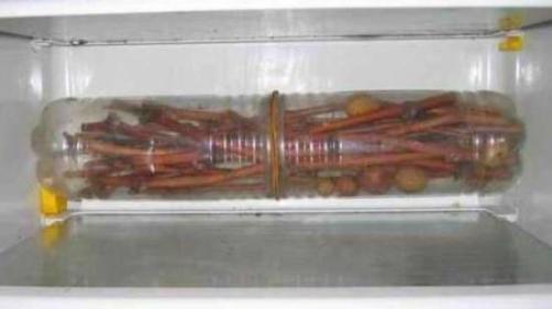 Как сохранить черенки винограда до весны в погребе. Правила хранения