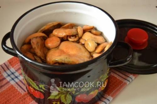 Как приготовить рыжики в сметане. Пошаговый рецепт с фото и видео