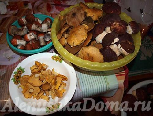 Вкусный рецепт маринования подосиновиков. Маринованные подосиновики