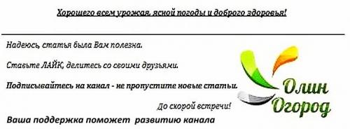 Тыквенный сок с апельсином и лимоном. Тыквенный сок на зиму с апельсином и лимоном