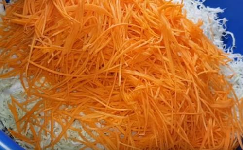 Салат из капусты и перца на зиму без стерилизации. Салат из капусты на зиму в банках с болгарским перцем, морковью и луком