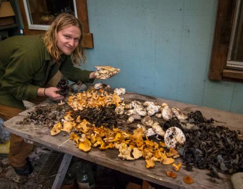 Грибы растущие в песке. Рецепты приготовления грибов песочников