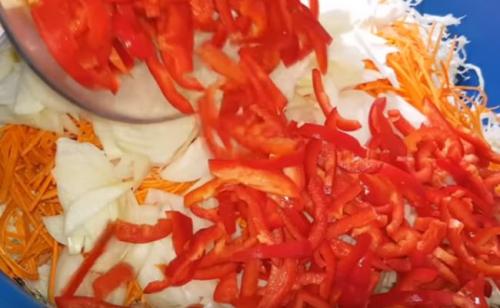 Салат из капусты и перца на зиму без стерилизации. Салат из капусты на зиму в банках с болгарским перцем, морковью и луком