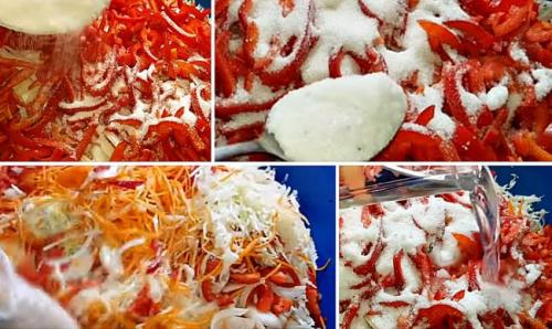 Салат из капусты и перца на зиму без стерилизации. Салат из капусты на зиму в банках с болгарским перцем, морковью и луком