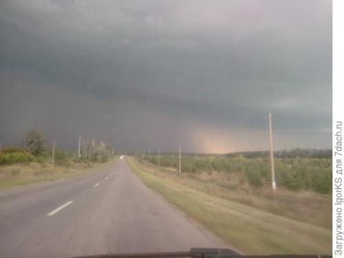 Рыжики и волнушки, как приготовить. Рыжики, волнушки, грузди. Солим, едим