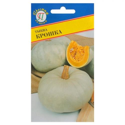 Тыква зеленая, как кабачок. Лучшие сорта тыквы мускатного, твердокорого и крупноплодного вида