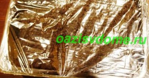 Подготовка земли для рассады клубники. Выращивание рассады земляники в домашних условиях