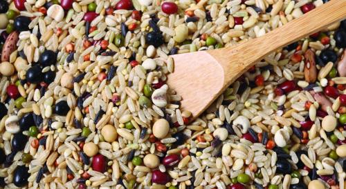 Когда можно собирать тыкву. Как определить, что тыква созрела и готова к уборке 10