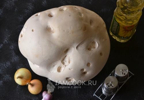 Гриб дождевик съедобный ли. Гриб дождевик 02