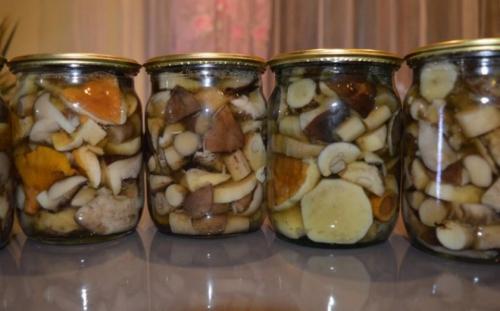 Как солить рядовки холодным способом. Рецепт соления рядовки