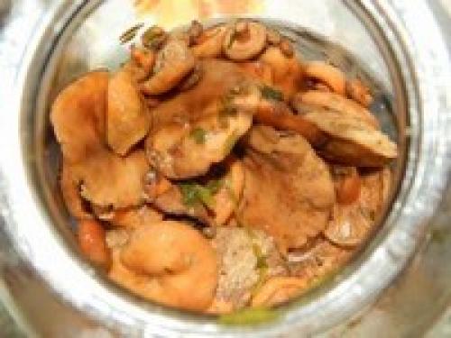 Рыжики, как готовить соленые. Рыжики холодного посола