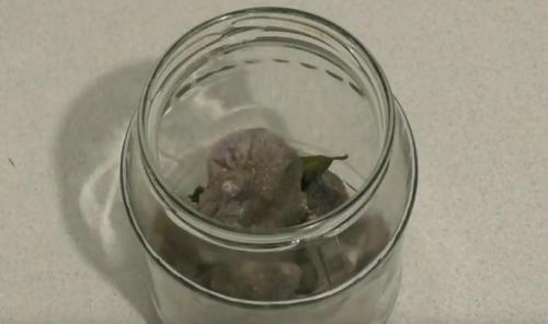 Блюда из рядовок. Рецепты приготовления блюд из лиловых рядовок