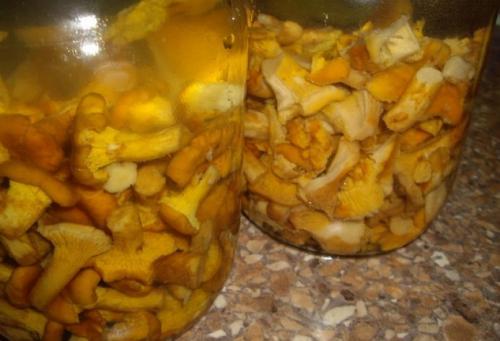 Рыжики замороженные рецепты. Заготовка на зиму