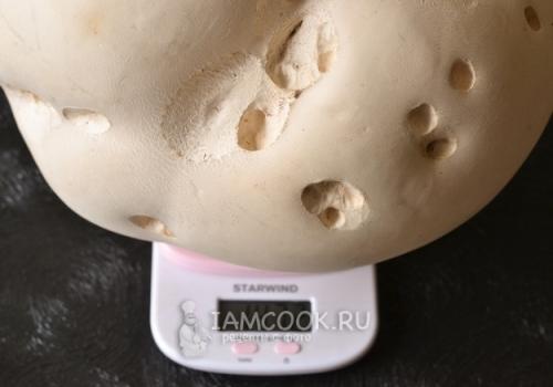 Гриб дождевик съедобный ли. Гриб дождевик 03