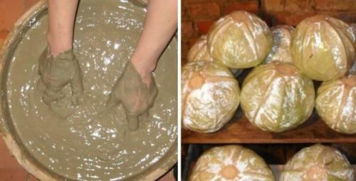 Как хранить капусту. Как правильно хранить капусту