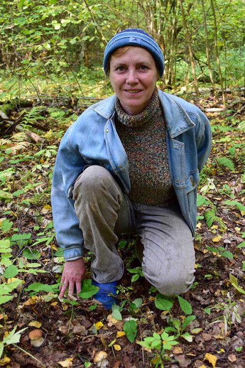 Где растут белые грибы. Как и когда растут белые грибы