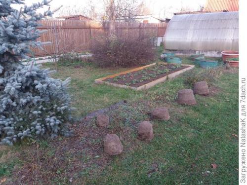 Укрытие роз на зиму спанбондом. Укрытие роз на зиму – забота и любовь