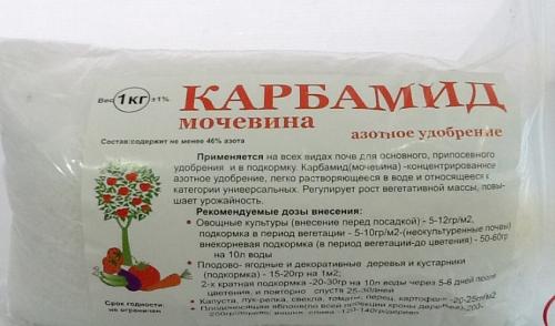 Осенняя обработка сада от болезней и вредителей мочевиной. Свойства мочевины