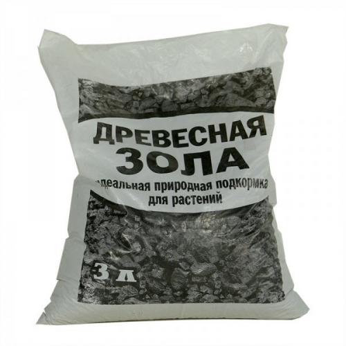 Как подготовить абрикос к зиме. Готовим абрикос к зиме