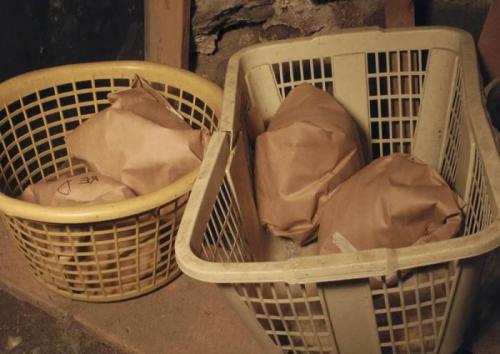 Как хранить капусту. Как правильно хранить капусту