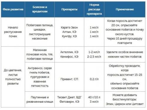 Чем подкормить малину ремонтантную в августе. Летние сорта малины: обрезка, уход и обработка 03 Чем подкормить малину ремонтантную в августе. Летние сорта малины: обрезка, уход и обработка 03