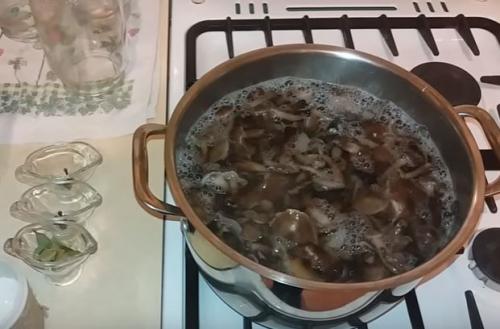 Как мариновать опята. Опята маринованные на зиму: вкусные рецепты быстрого приготовления в домашних условиях