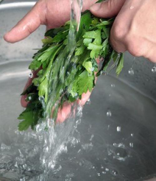 Как сохранить петрушку на долгое время. Чтобы зелень была свежей