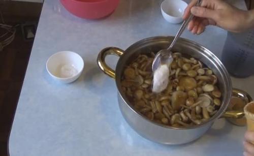 Как мариновать королевские опята. Маринованные опята на зиму — самые вкусные рецепты приготовления
