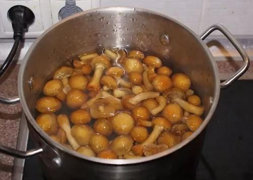 Как мариновать опята. Опята маринованные на зиму: вкусные рецепты быстрого приготовления в домашних условиях