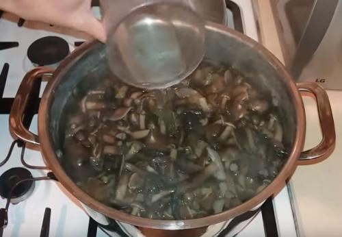 Как мариновать опята. Опята маринованные на зиму: вкусные рецепты быстрого приготовления в домашних условиях