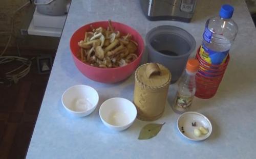 Как мариновать королевские опята. Маринованные опята на зиму — самые вкусные рецепты приготовления