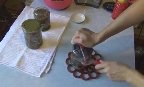 Как мариновать королевские опята. Маринованные опята на зиму — самые вкусные рецепты приготовления