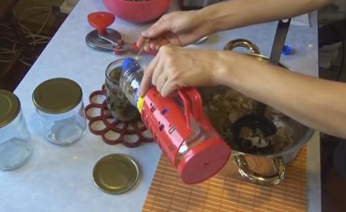 Как мариновать королевские опята. Маринованные опята на зиму — самые вкусные рецепты приготовления