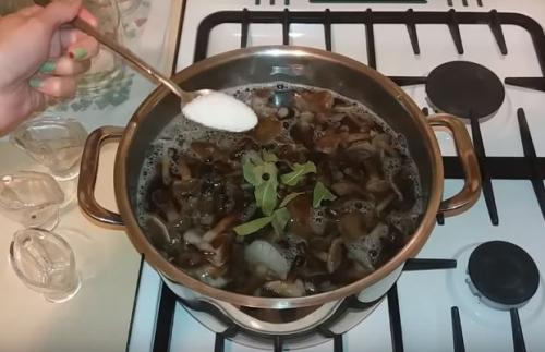 Как мариновать опята. Опята маринованные на зиму: вкусные рецепты быстрого приготовления в домашних условиях