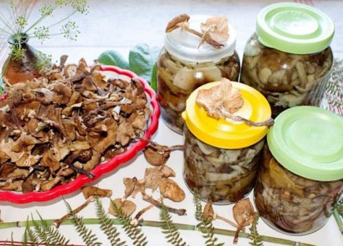Как мариновать королевские опята. Маринованные опята на зиму — самые вкусные рецепты приготовления