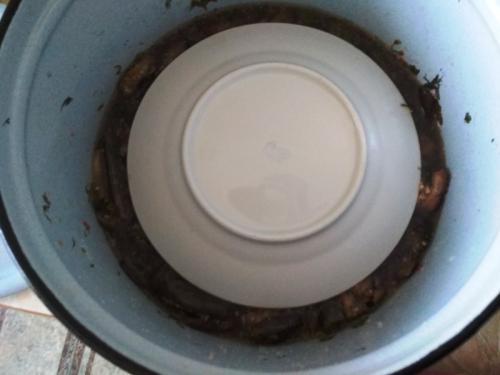 Баклажаны с чесноком и кинзой на зиму. Пикантные баклажаны с кинзой, чесноком и чили 44