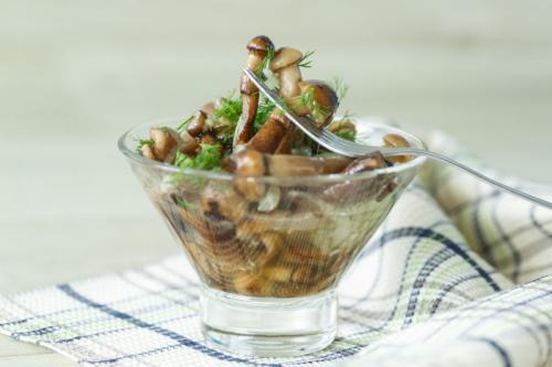 Быстрое маринование опят. Опята маринованные на зиму в домашних условиях: 6 рецептов быстрого приготовления