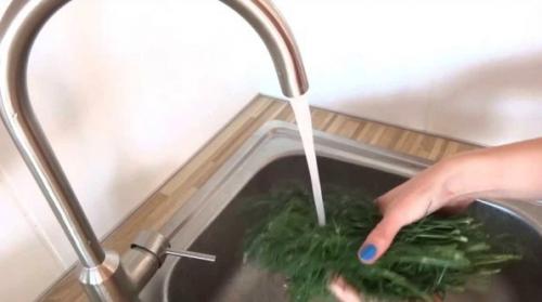 Как сохранить петрушку на долгое время. Чтобы зелень была свежей