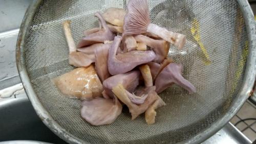 Как готовить грибы синюшки. Как пожарить грибы Синеножки?