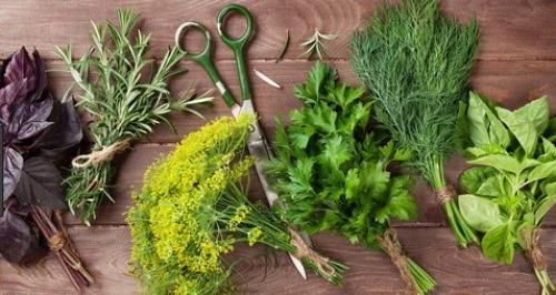 Как сохранить петрушку на долгое время. Чтобы зелень была свежей