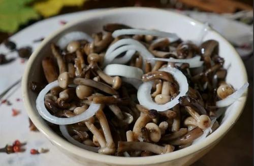 Как мариновать опята. Опята маринованные на зиму: вкусные рецепты быстрого приготовления в домашних условиях