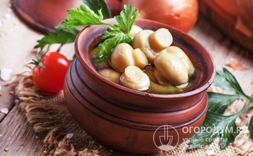 Рассол для грибов рецепт. Наиболее популярные рецепты соления грибов