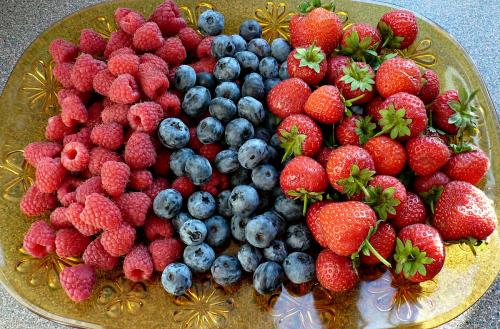 Какие ягоды собирают осенью в огороде. Ягоды все лето - какие кустарники посадить в саду