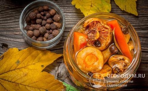 Рыжики на зиму. Рецепты рыжиков, маринованных на зиму в банках с уксусом