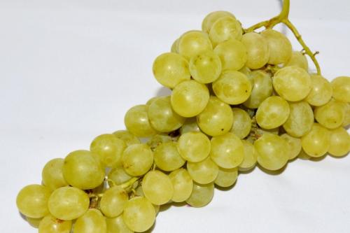 Как приготовить виноградный сок для длительного хранения. Как выбрать виноград для сока