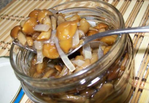 Как мариновать опята. Опята маринованные на зиму: вкусные рецепты быстрого приготовления в домашних условиях