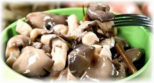 Как чистить вешенки